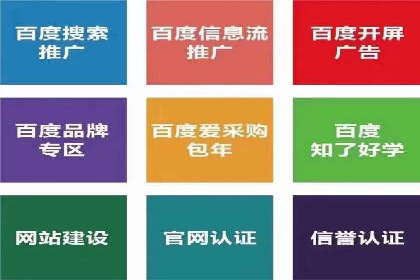 案例解析：sem竞价策略在电商平台的成功应用